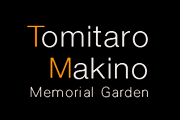 Tomitaro-Makino